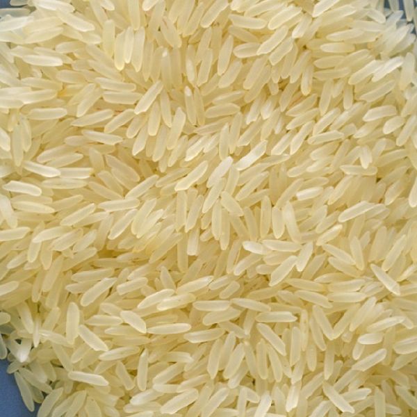 DALIA PUSTIHAR 500GM PATANJALI